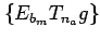 $ \{E_{b_m}T_{n_a}g\}$