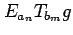 $ E_{a_n}T_{b_m}g$